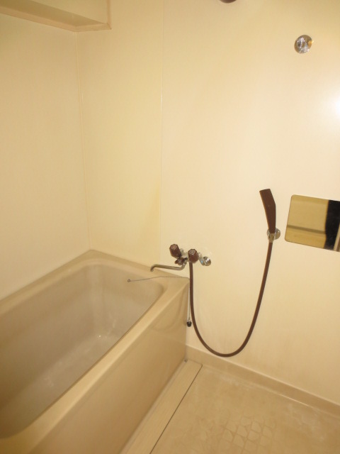 Bath. Also it comes with a mirror. 