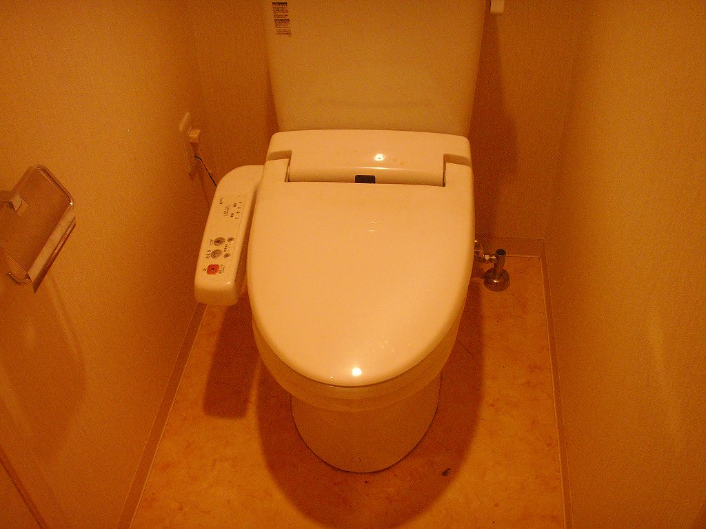 Toilet