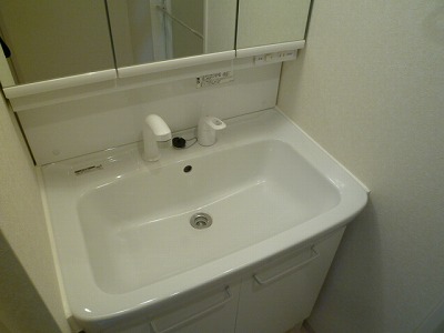 Washroom. Wash basin