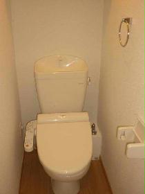 Toilet. Warm water washing toilet seat Completion