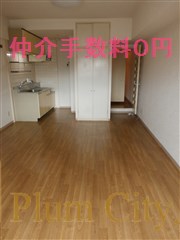 Living and room. Living