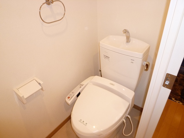 Toilet. Of course Washlet