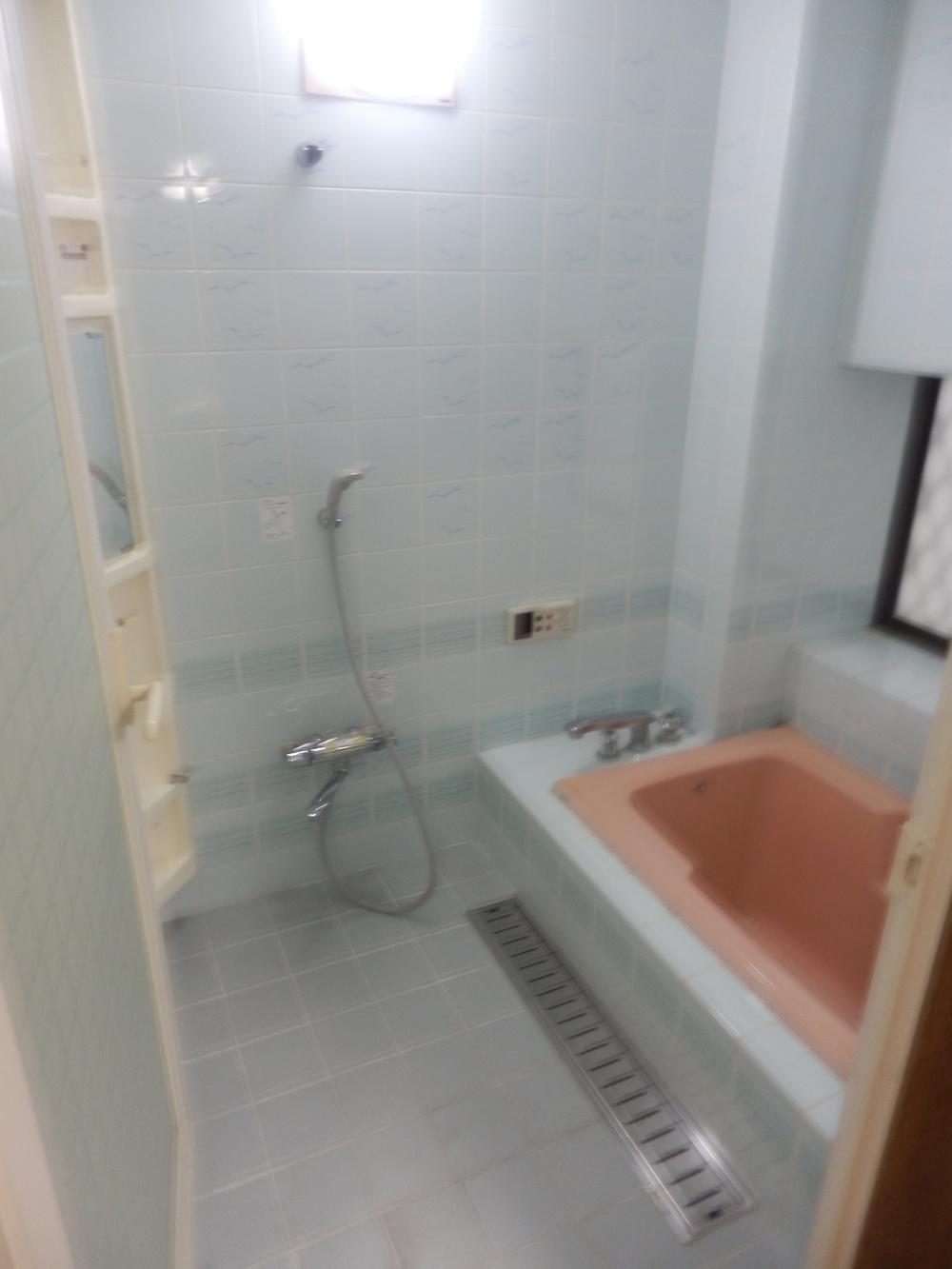 Bathroom. Indoor (June 2013) Shooting