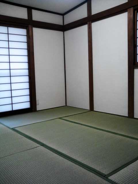 Other introspection. Indoor (July 2013) Shooting