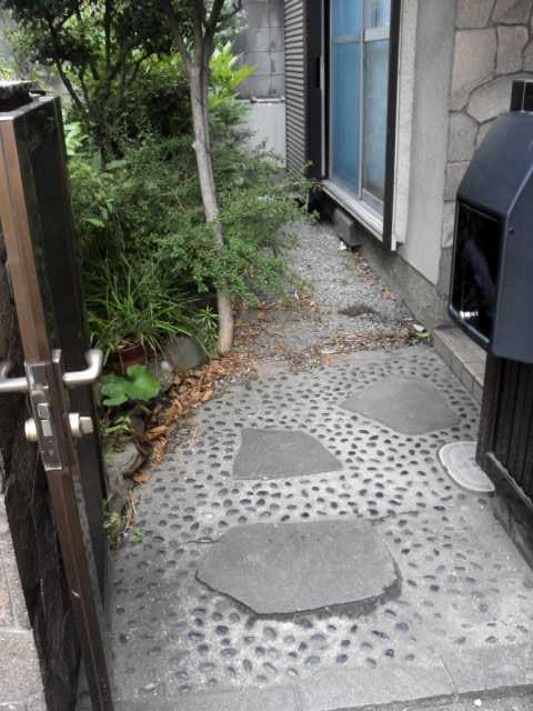 Garden. Local (July 2013) Shooting