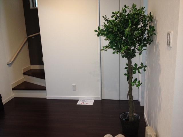 Same specifications photos (Other introspection)