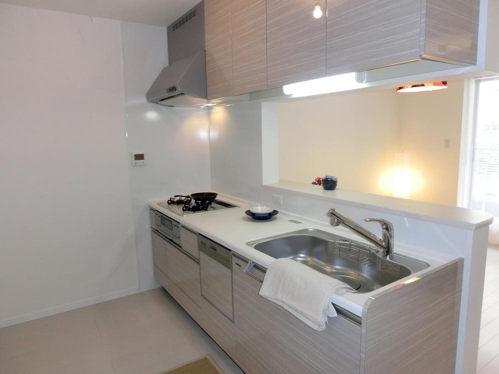 Same specifications photo (kitchen). Storage capacity of the preeminent, SI sensor stove with a spacious kitchen