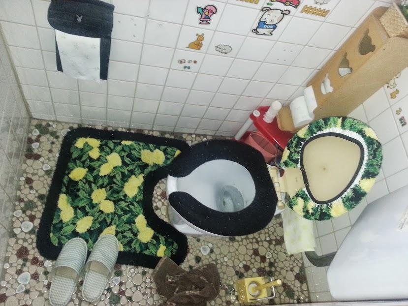 Toilet. Indoor (08 May 2013) Shooting