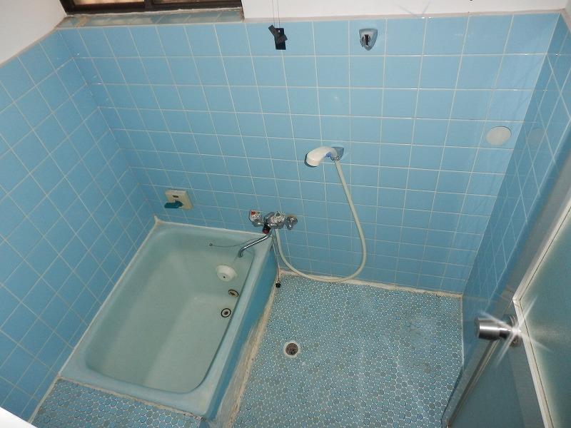 Bathroom. Indoor (September 2013) Shooting