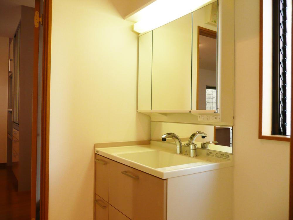 Wash basin, toilet. Vanity shower