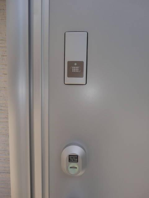 Entrance. Intercom with TV monitor