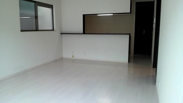 Living. Indoor (09 May 2013) Shooting