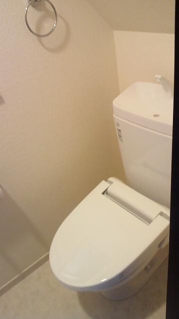 Toilet. Indoor (09 May 2013) Shooting