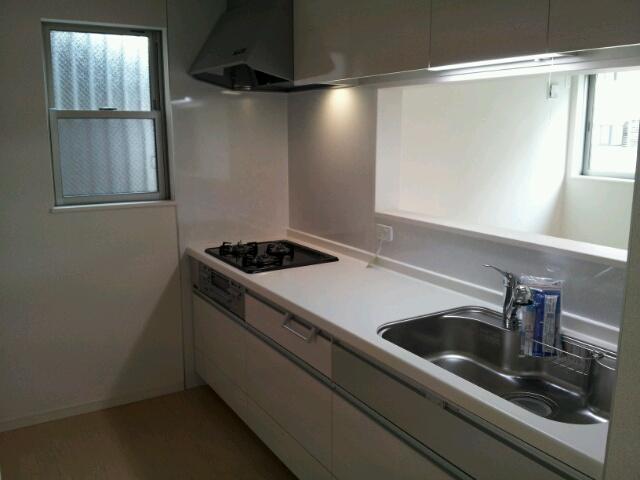 Kitchen. Popular face-to-face kitchen