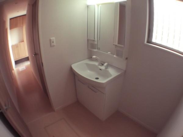 Same specifications photos (Other introspection). Dressed in smooth wash room of the room