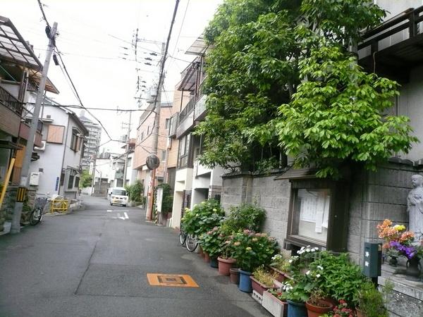 Local photos, including front road