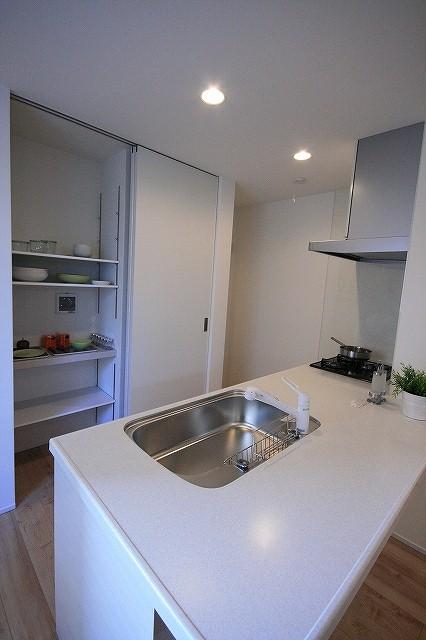 Kitchen. Back storage