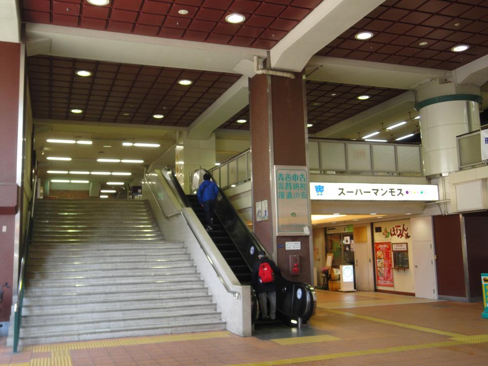 Supermarket. 294m to Super Mammoth