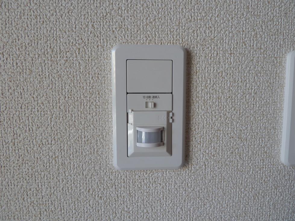 Other. Entrance automatic sensor light