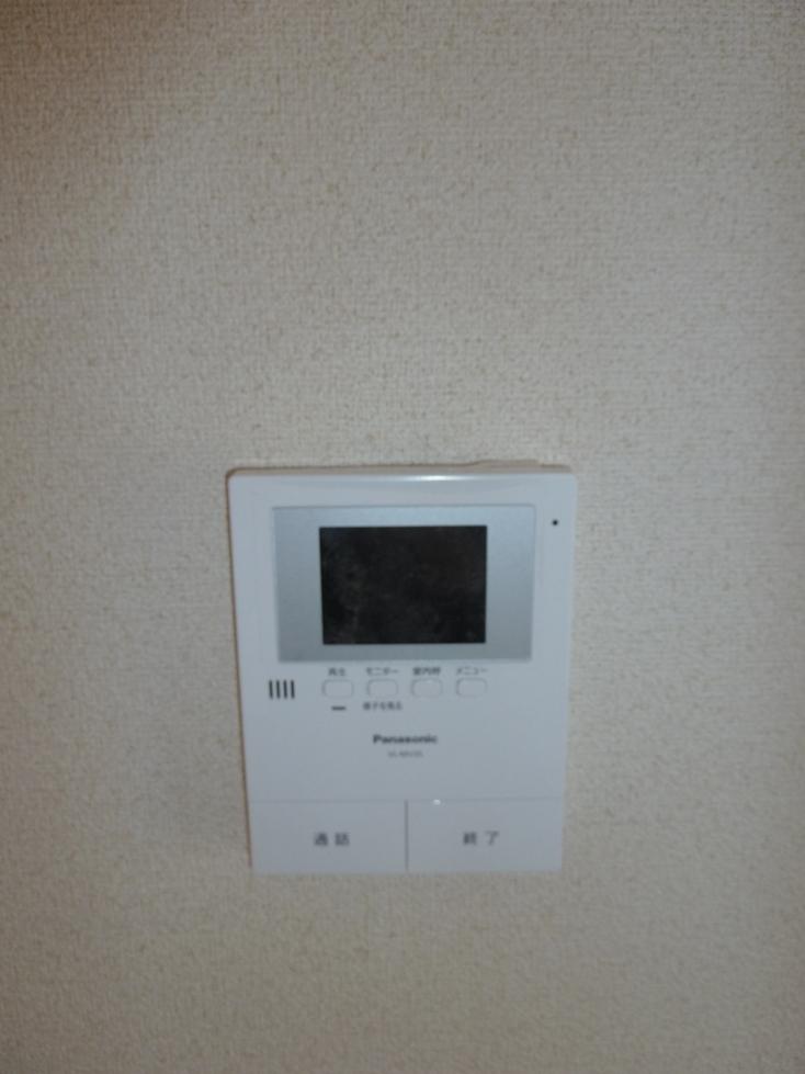 Other. Color intercom