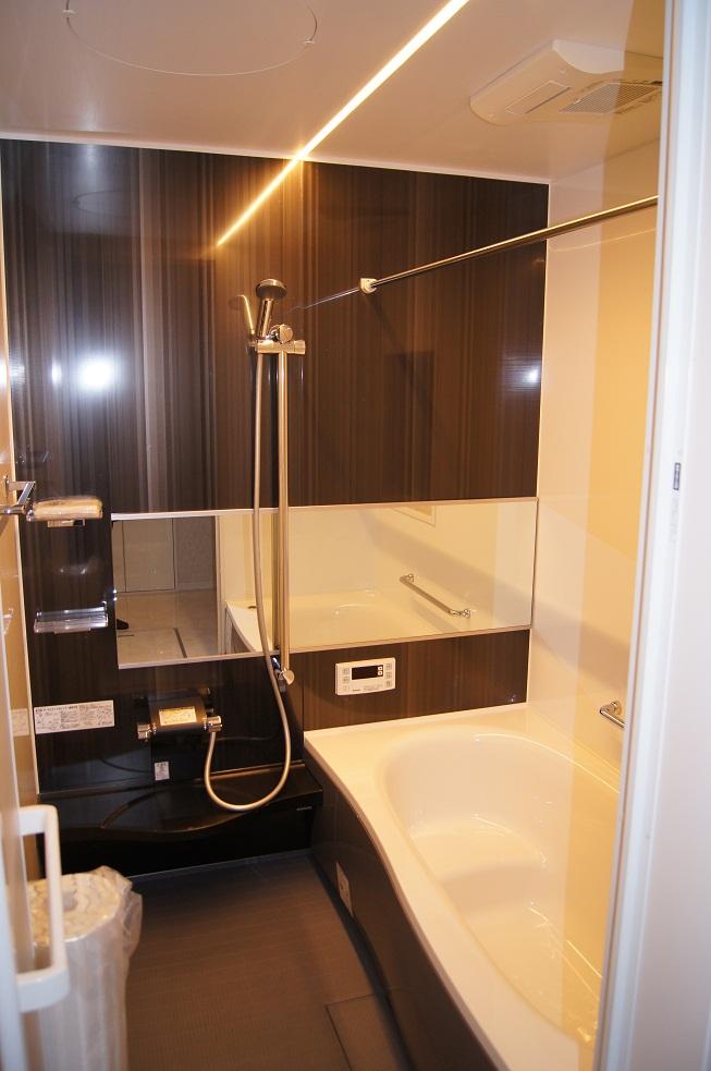 Bathroom. Indoor (12 May 2013) Shooting