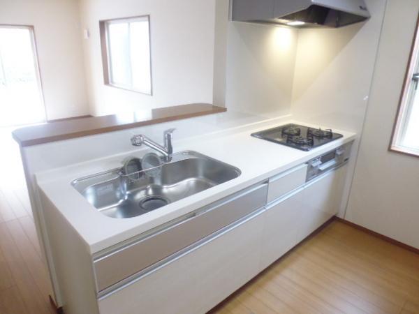 Kitchen. Popular system kitchen adopted for wife