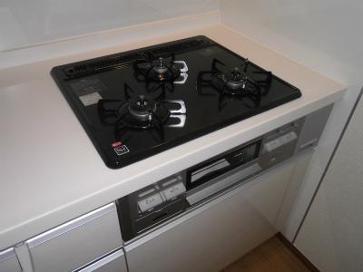 Kitchen. Indoor (11 May 2013) Shooting