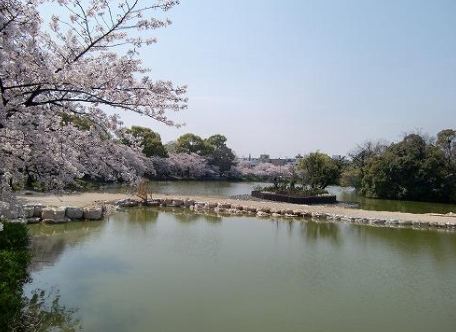 park. 1414m until Bandai Pond Park (park)