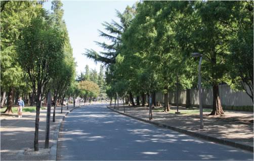 park. To Nagai Park 720m