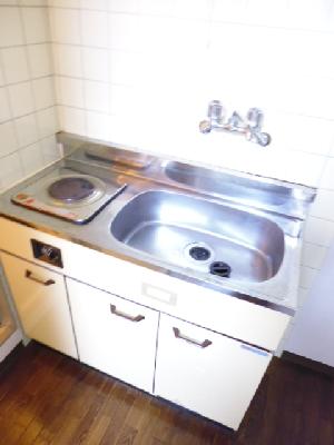 Kitchen. Kitchen of shiny.