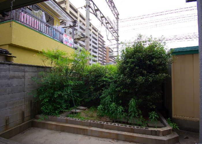 Garden. Bright backyard