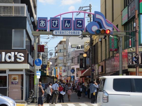 Other Environmental Photo. Subway Abiko central shopping district 1200m underground Abiko central shopping street to 1200m 1200m