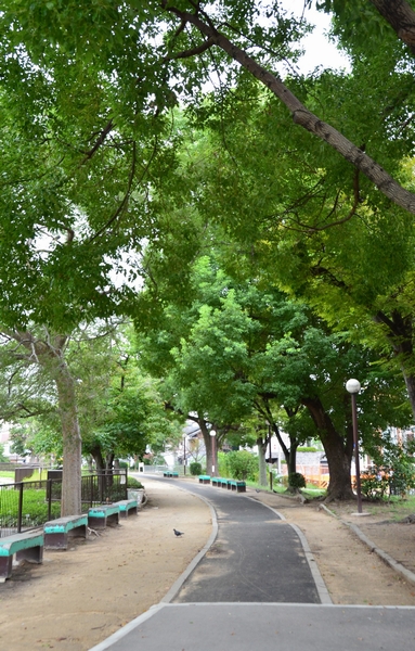 Bandai pond park (5-minute walk ・ About 390m) about 4.4ha thing big park. There is a large pond in the middle of the park, Green is rich is perfect for a walk or jogging