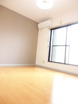 Living and room. It shines. Flooring