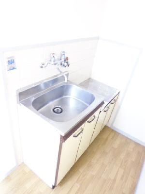 Kitchen. Kitchen of shiny.