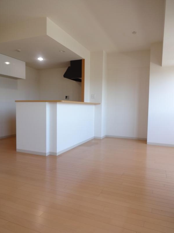 Living and room. Living Spacious, 15.9 Pledge