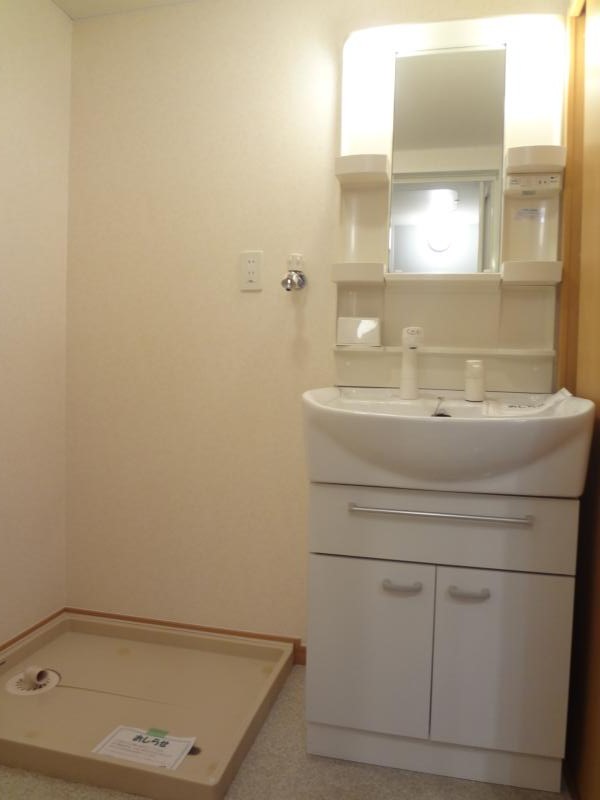 Washroom. Shampoo is a dresser equipped