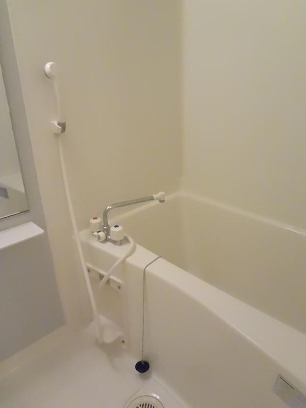 Bath. Bathing is a fully equipped bathroom dryer