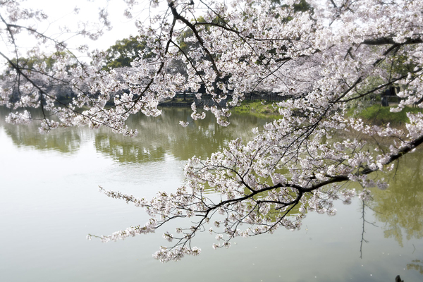 Surrounding environment. Bandai Pond Park (4-minute walk ・ About 260m)
