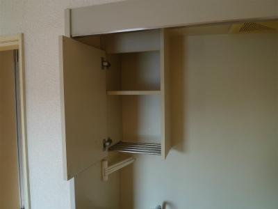 Other. It is a south-facing window