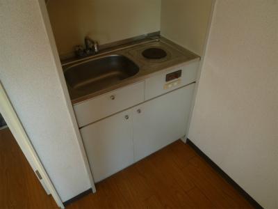 Living and room. It is electric heating bite stove