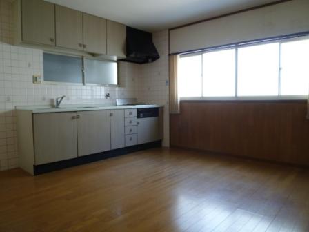 Living. Room (August 2013) Shooting 3-neck gas stove, System kitchen