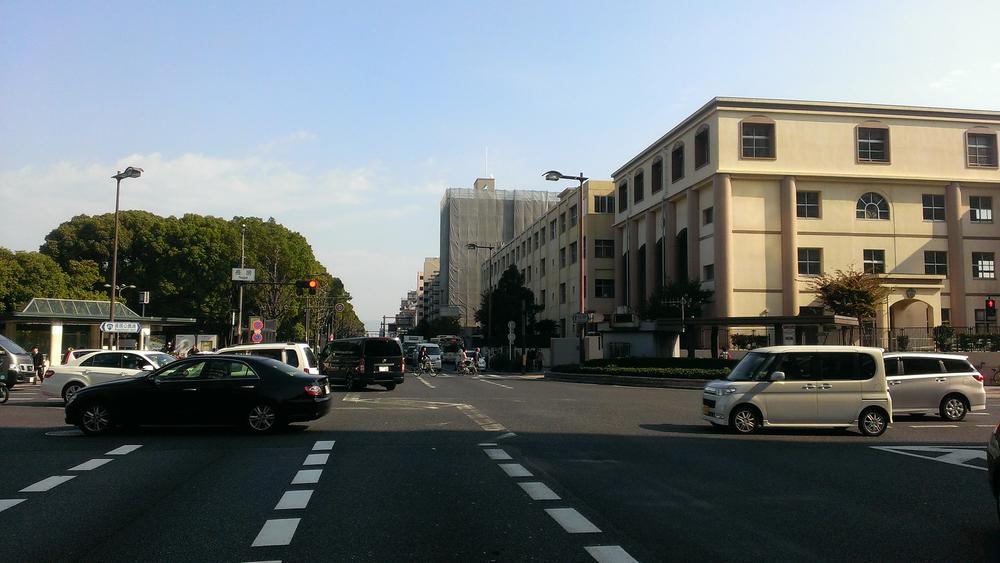 Other. Subdivision landscape