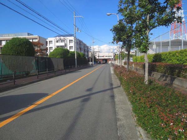 Local photos, including front road