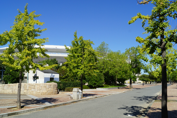 Surrounding environment. Nagai Park (a 9-minute walk ・ About 720m) comprehensive park representative of the Osaka. Full of flowers and greenery, Perfect for a walk course. Also substantial square of children play Omoikkiri playground equipment