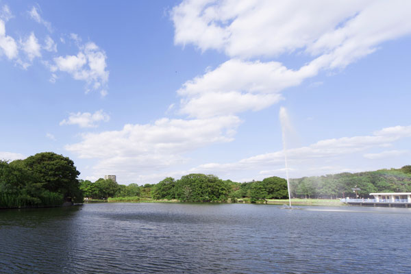 Surrounding environment. 9-minute walk from the transitory of four seasons beautiful Nagai Park. Its vast grounds, Athletics stadium ・ Tennis field ・ Citizen pool ・ Kids Park ・ Such as lawn open space is provided, branch, catchball, Jogging and, You can variously enjoy (Nagai Park / 9 minute walk ・ About 720m)