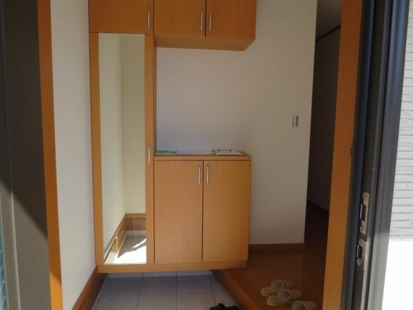 Entrance. Entrance. Full-length mirror with storage