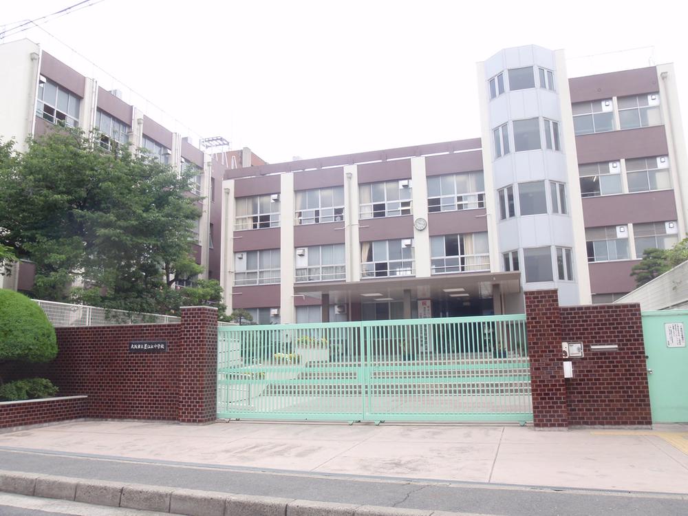 Other. Needless to say Sumie is a hill junior high school.