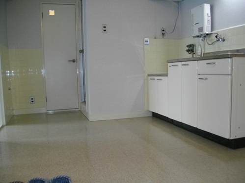 Living and room. Living