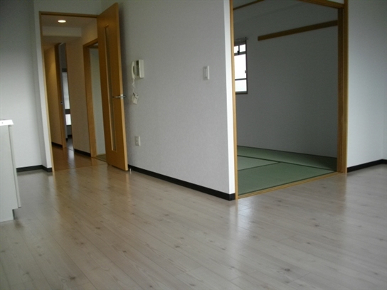 Living and room. Living